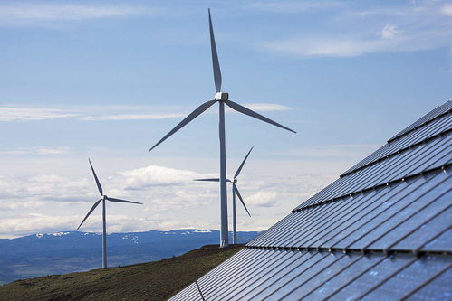 疫情封鎖下的陰影 印度3吉瓦風光發電項目推遲及其對行業的影響